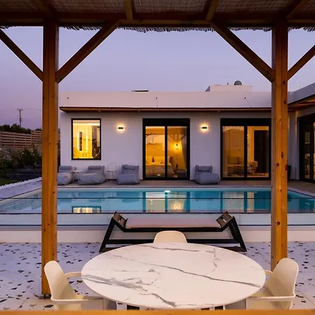 别墅 Sardines Luxury 赫索尼索斯