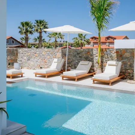 别墅 Sardines Luxury 赫索尼索斯